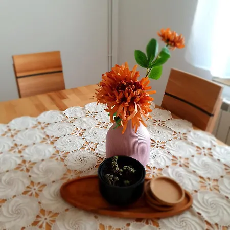 בית הארחה Che Private Banovci Novi Banovci