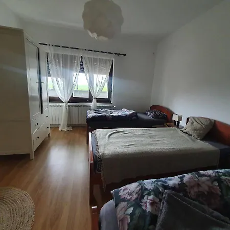 Che Private Banovci בית הארחה Novi Banovci